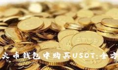 如何在火币钱包中购买USDT：全方位指南
