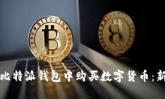 如何在比特派钱包中购买数字货币：新手指南