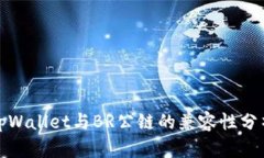 tpWallet与BR公链的兼容性分析