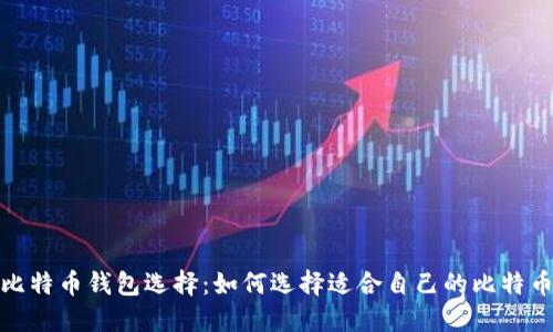最佳比特币钱包选择:如何选择适合自己的比特币钱包