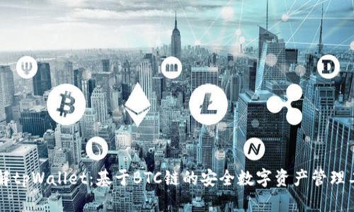 了解tpWallet：基于BTC链的安全数字资产管理工具