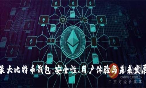 全球最大比特币钱包:安全性、用户体验与未来发展趋势