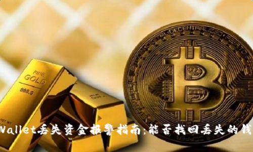 tpWallet丢失资金报警指南：能否找回丢失的钱款？