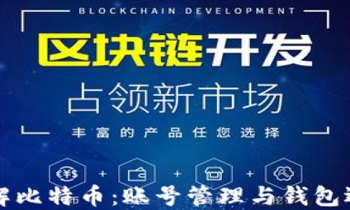深入了解比特币:账号管理与钱包选择指南