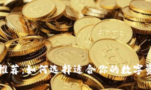 泰达币钱包推荐:如何选择适合你的数字资产存储工具