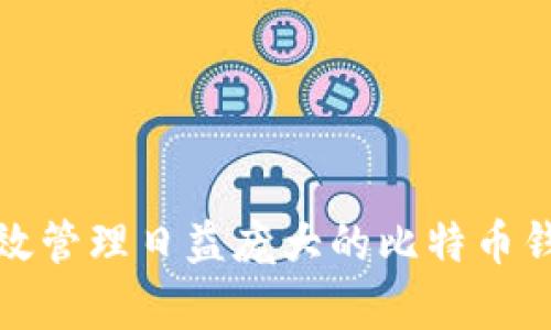 如何有效管理日益庞大的比特币钱包数据