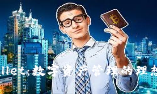 tpWallet:数字资产管理的理想选择