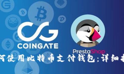 如何使用比特币支付钱包:详细指南