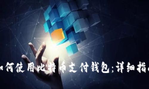 如何使用比特币支付钱包:详细指南