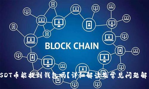 USDT币能提到钱包吗?详细解读及常见问题解答