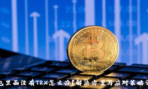   
钱包里面没有TRX怎么办？解决方案与应对策略详解