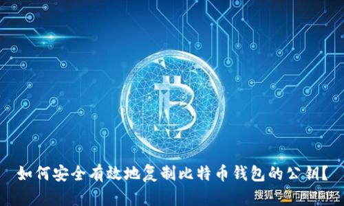如何安全有效地复制比特币钱包的公钥?