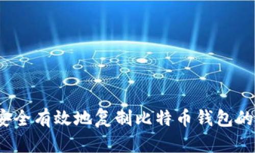 如何安全有效地复制比特币钱包的公钥?