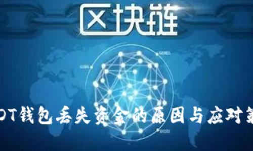 USDT钱包丢失资金的原因与应对策略