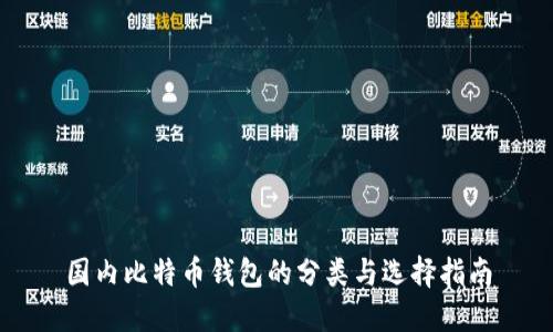 国内比特币钱包的分类与选择指南