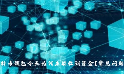 : 比特币钱包今天为何未能收到资金?常见问题解析