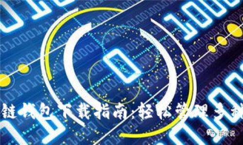 比特币多链钱包下载指南:轻松管理多种加密资产