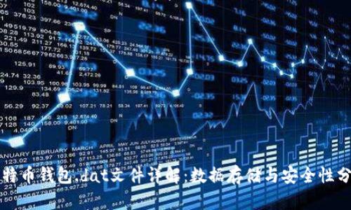 比特币钱包.dat文件详解：数据存储与安全性分析