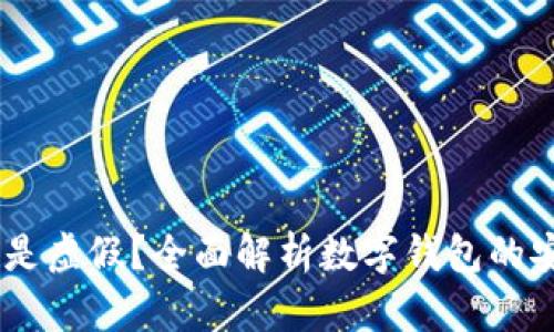 数字钱包：真实还是虚假？全面解析数字钱包的安全性与使用价值