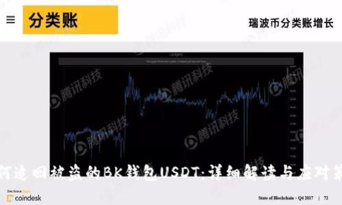 如何追回被盗的BK钱包USDT:详细解读与应对策略