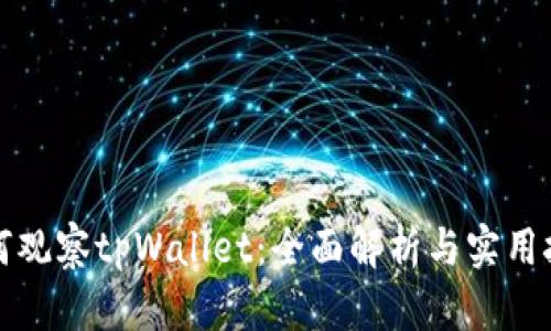 如何观察tpWallet:全面解析与实用技巧