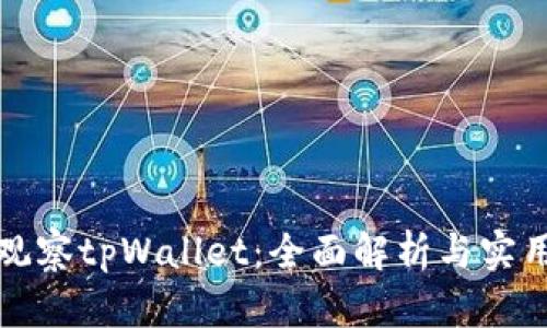如何观察tpWallet:全面解析与实用技巧