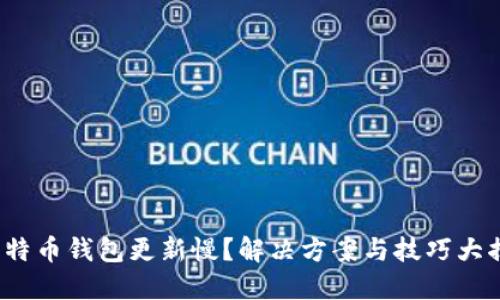 : 比特币钱包更新慢?解决方案与技巧大揭秘!