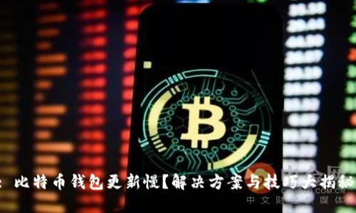: 比特币钱包更新慢?解决方案与技巧大揭秘!