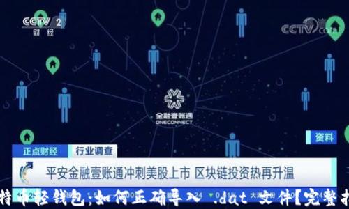比特币轻钱包:如何正确导入 .dat 文件?完整指南