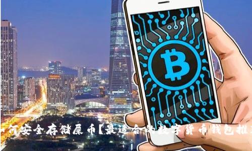 如何安全存储屎币?最适合的数字货币钱包推荐