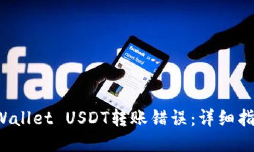 如何解决TP Wallet USDT转账错误:详细指导与解决方案