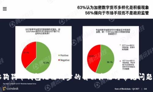 电脑狗狗币钱包无法同步的解决办法与常见问题解析