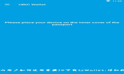 国内用户如何使用苹果ID下载tpWallet:详细指南