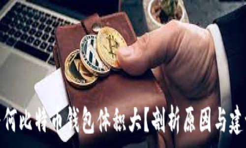 为何比特币钱包体积大?剖析原因与建议