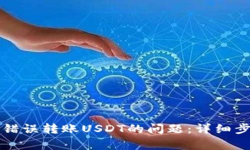如何解决火币钱包错误转账USDT的问题:详细步骤与常见问题解析
