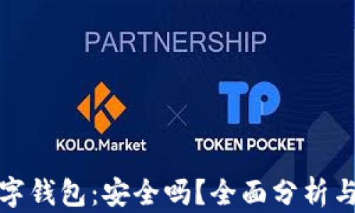 
TP数字钱包：安全吗？全面分析与评测
