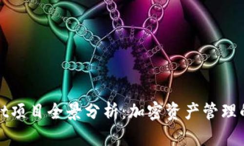 tpWallet项目全景分析:加密资产管理的新选择