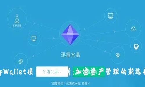 tpWallet项目全景分析:加密资产管理的新选择
