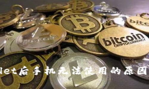下载tpWallet后手机无法使用的原因及解决方案