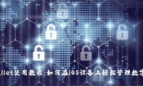 tpWallet使用教程：如何在iOS设备上轻松管理数字资产