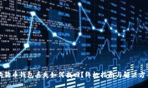 狗狗币钱包丢失如何找回?终极指南与解决方案
