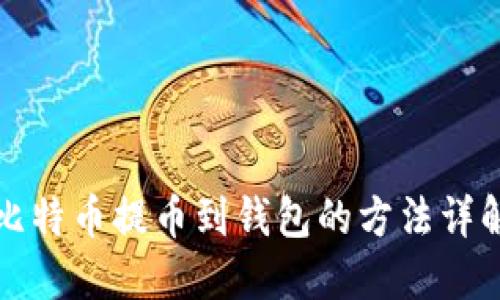 比特币提币到钱包的方法详解