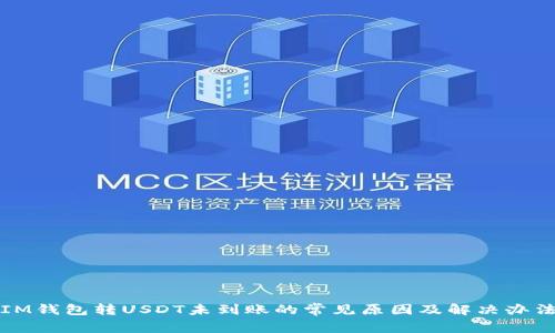 IM钱包转USDT未到账的常见原因及解决办法