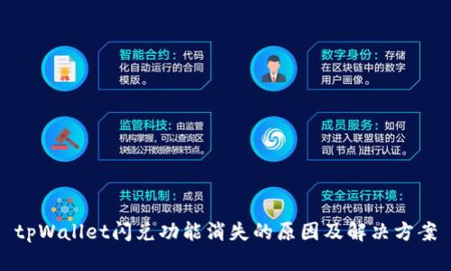 tpWallet闪兑功能消失的原因及解决方案
