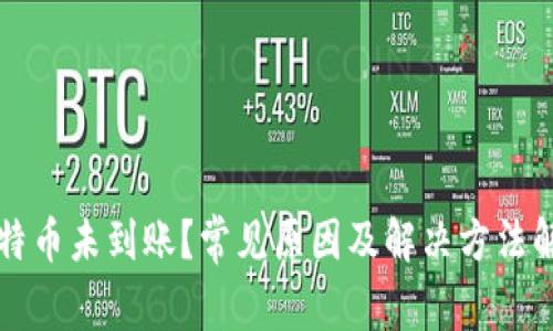 比特币未到账？常见原因及解决方法解析