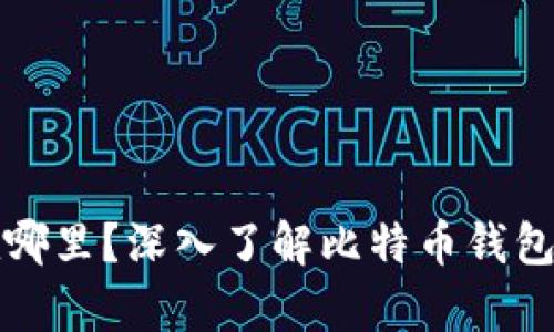 比特币加密钱包存在哪里？深入了解比特币钱包的存储方式与安全性