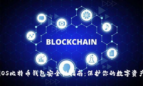 iOS比特币钱包安全性指南:保护你的数字资产