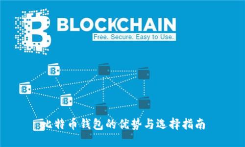 比特币钱包的优势与选择指南