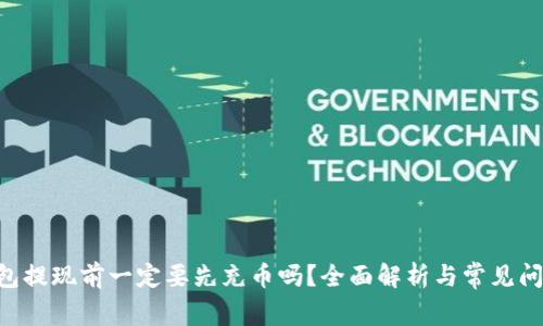 USDT钱包提现前一定要先充币吗?全面解析与常见问题解答