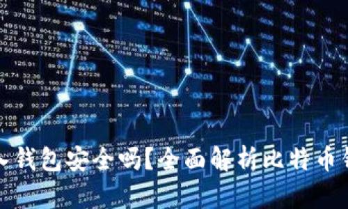 比特币转入钱包安全吗?全面解析比特币钱包安全性